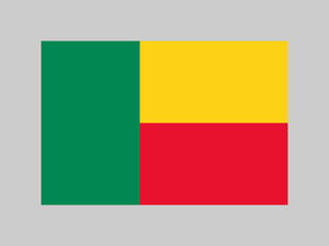 Benin flag official colors and proportion Vector illustration